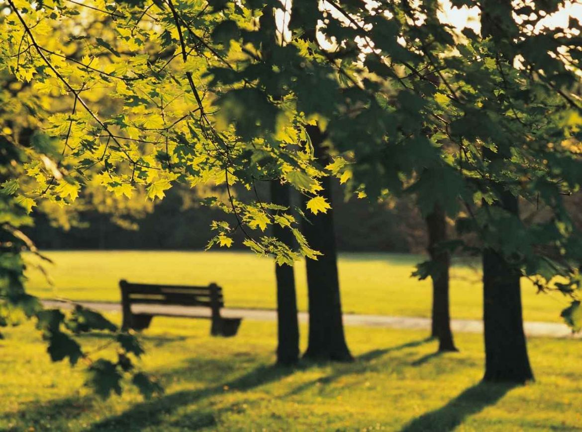 sielski weekend poza miastem gdzie w wielkopolsce